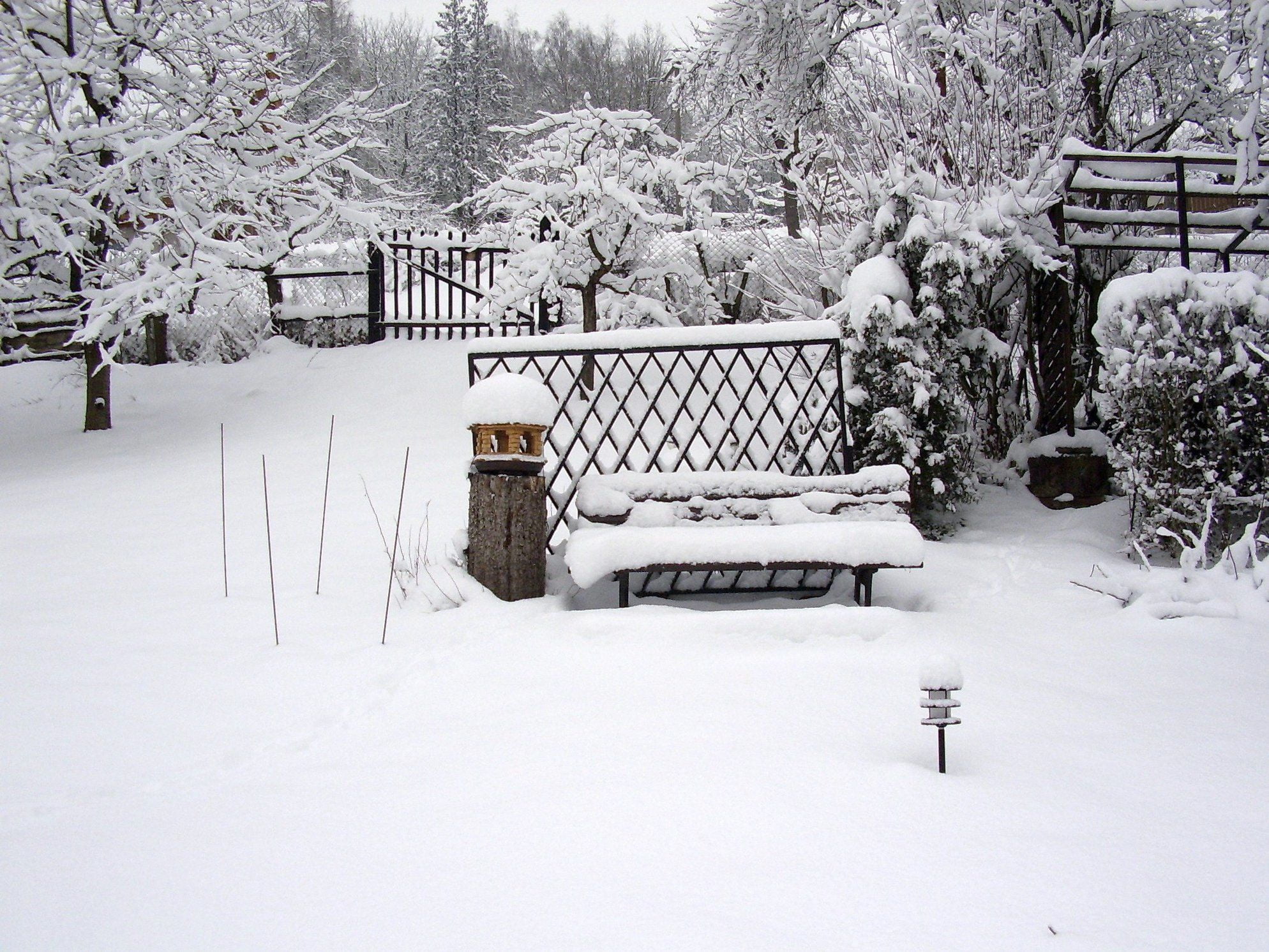 Garten im Schnee