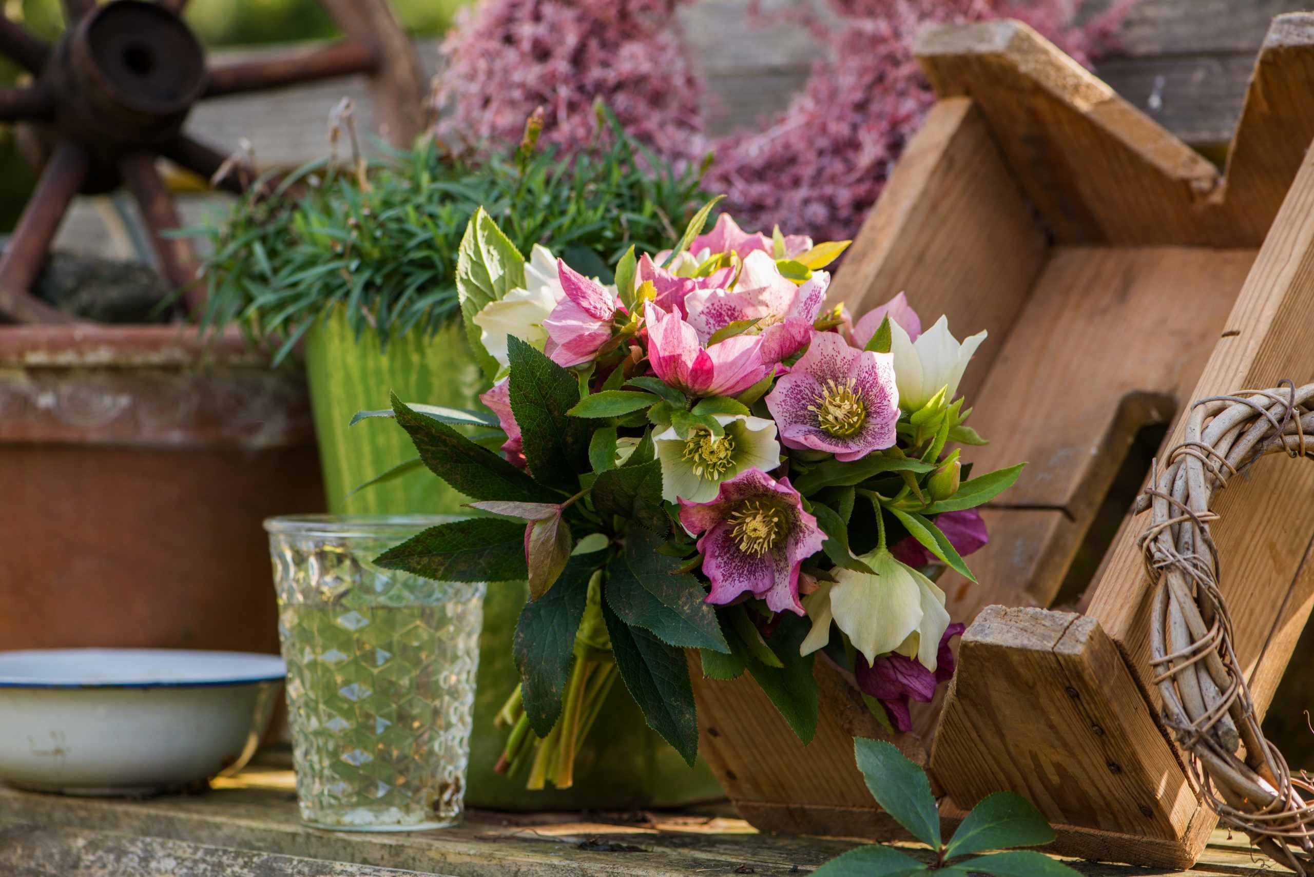 Colorful helleborus flower bouquet in a wooden box