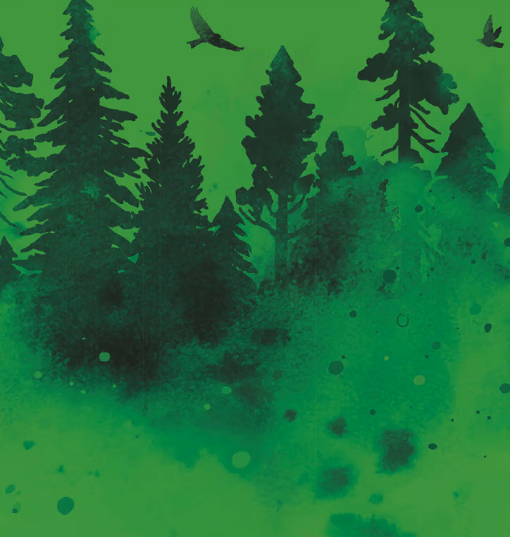 Waldfest Magical Forest