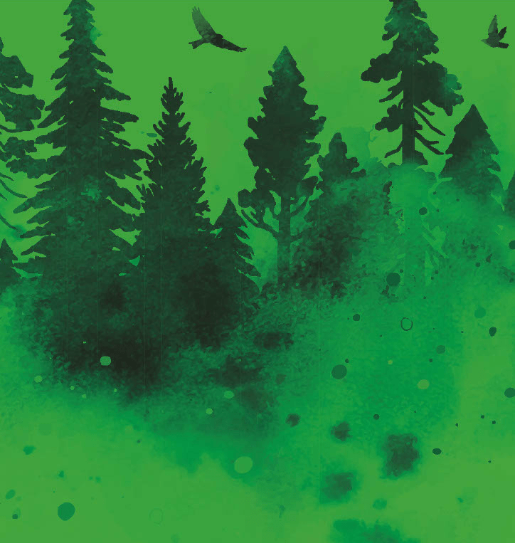 Waldfest Magical Forest