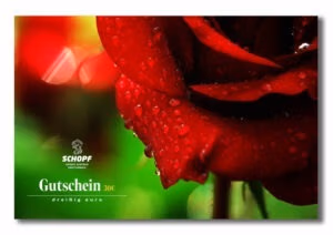 Gutschein 30 Euro