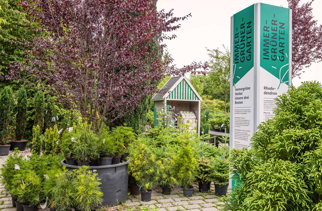 ErlebnisBaumschule Grünes Zentrum Schopf in Nürnberg / Krottenbach