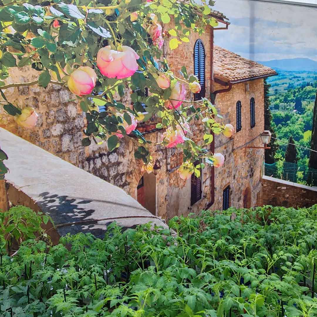 Rückblick italienischer Frühling