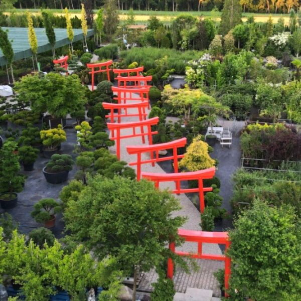 Grünes Zentrum Schopf in Nürnberg / Krottenbach Gartencenter & Baumschule