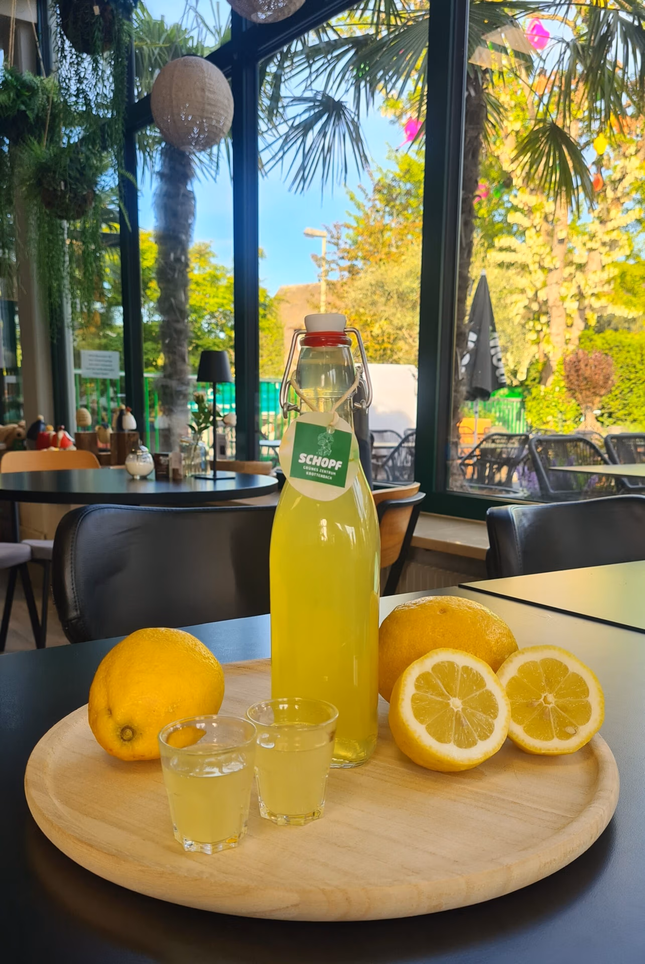 Limoncello Workshop 2