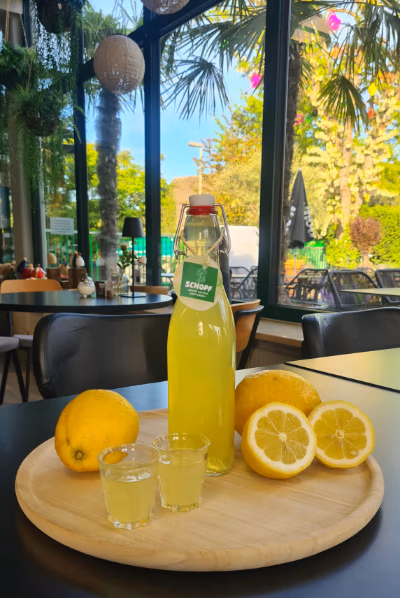 Workshop „Limoncello selber machen“