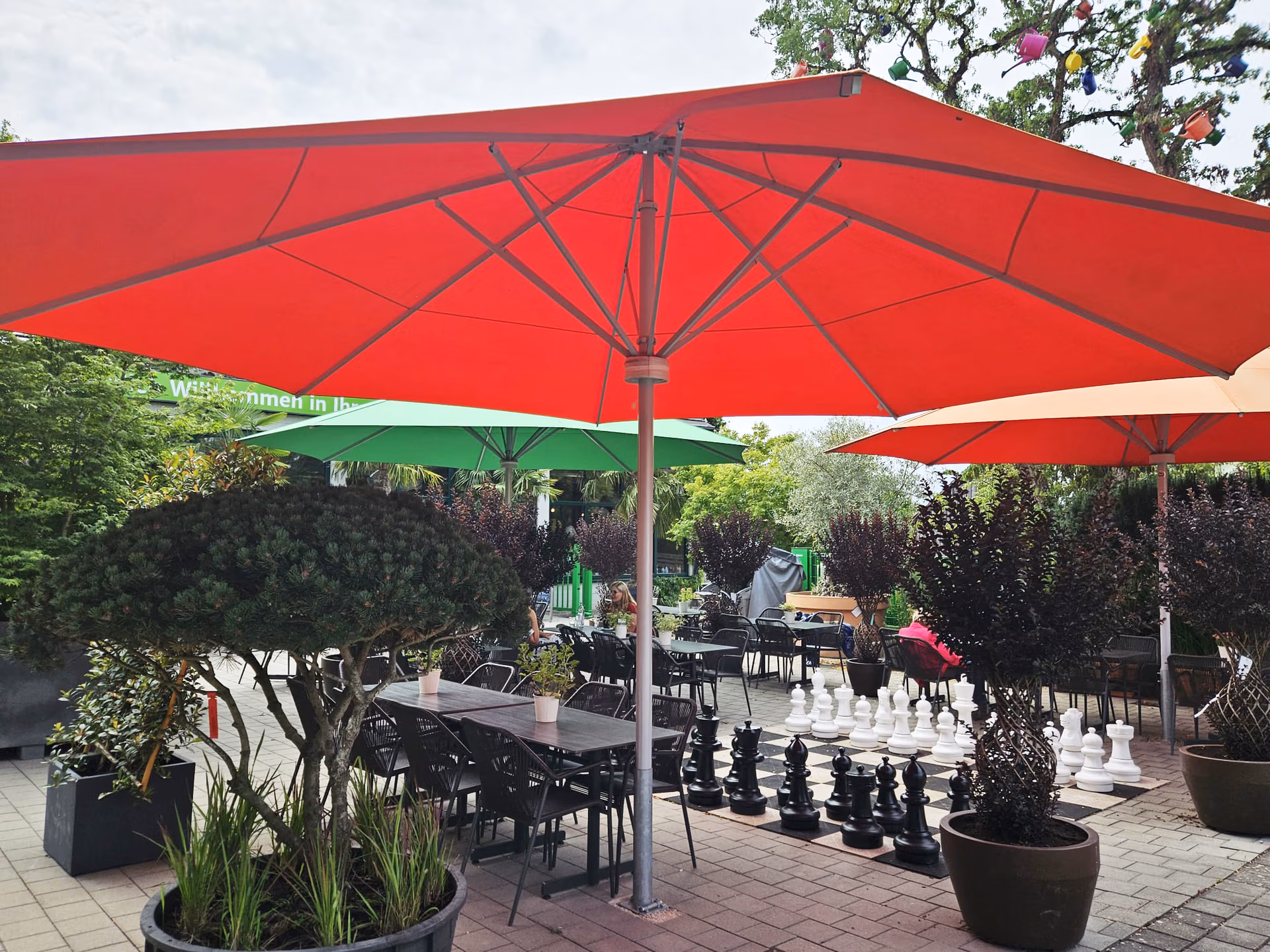 schach-cafe-flora