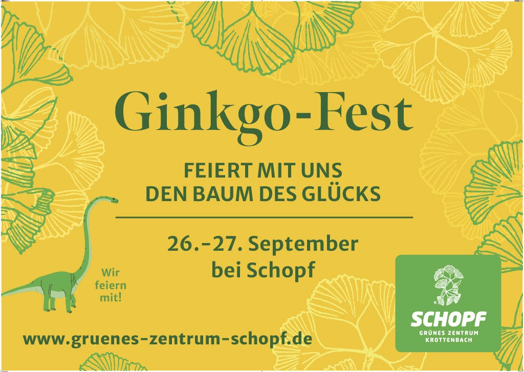 Ginkgo-Fest – Feiert mit uns den Baum des Glücks
