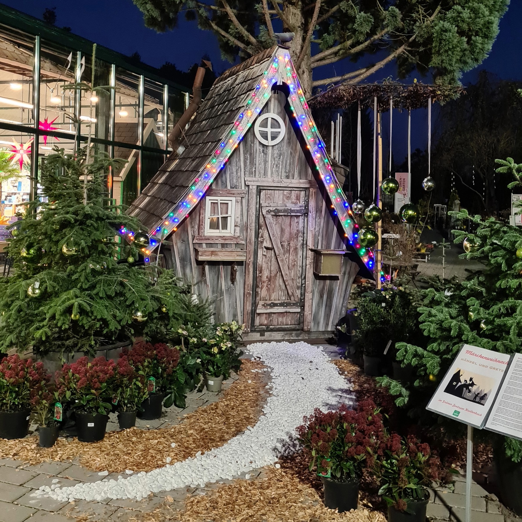 Waldweihnacht in unserer Erlebnisbaumschule – Weihnachtsmarkt im Grünen