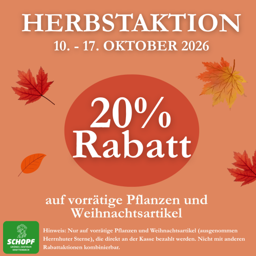 Rabattaktion_Herbst_Website