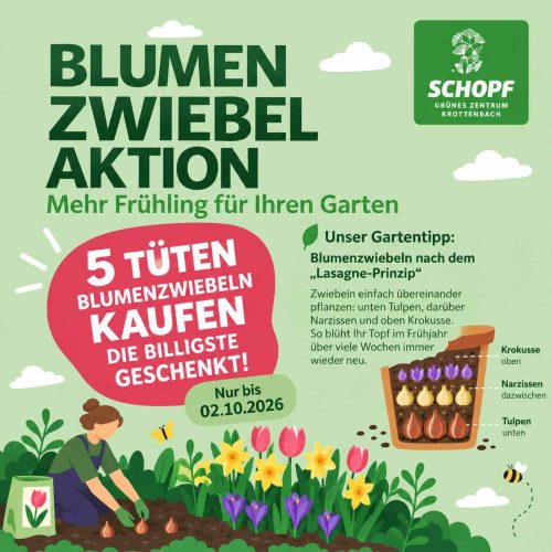rabatt-blumenzwiebel-15.09.2026-02.10.2026